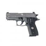 PISTOLA SIG SAUER P229, LEGION, GRAY, 9MM, 3.9", 15 RD, 2 CACERINAS